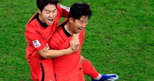 Cá cược thể thao uy tín: So tài Á – Phi tại World Cup 2026 - hình ảnh - vipnohu90.com