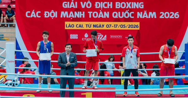 Liên đoàn Quyền anh Việt Nam bị tố bầu cử sai quy định – NOHU90 eSports cập nhật diễn biến mới - hình ảnh - vipnohu90.com Liên đoàn Quyền anh Việt Nam bị tố bầu cử sai quy định – NOHU90 eSports cập nhật diễn biến mới - hình ảnh - vipnohu90.com