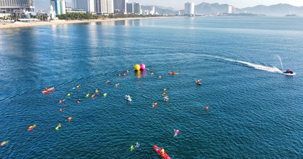 NOHU90 cược thể thao: Cận cảnh giải bơi biển SeaStar Nha Trang Bay 2026 sôi động - hình ảnh - vipnohu90.com