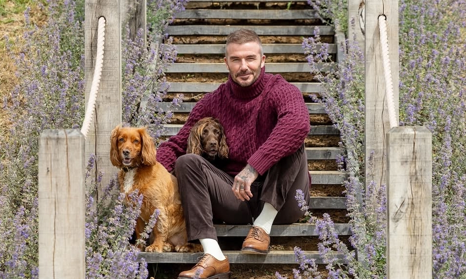 Link vào nhà cái NOHU90 và phong cách thời thượng của David Beckham - hình ảnh - vipnohu90.com Link vào nhà cái NOHU90 và phong cách thời thượng của David Beckham - hình ảnh - vipnohu90.com